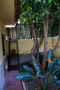 A garden outside Casa Rural de Tío Félix