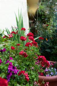 A garden outside Casa Rural de Tío Félix