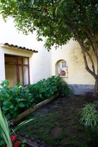 A garden outside Casa Rural de Tío Félix