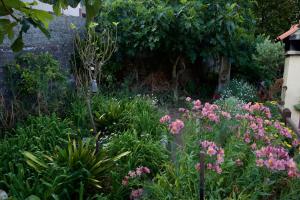A garden outside Casa Rural de Tío Félix