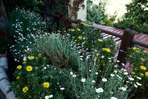 A garden outside Casa Rural de Tío Félix