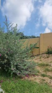 En have udenfor Baan kratay