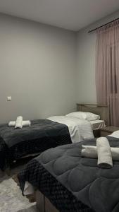 una stanza con due letti in una stanza di Central Oasis a Alexandroupoli