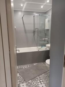 een badkamer met douche en toilet bij Ferienwohnung Feel Glueck in Bad Grund