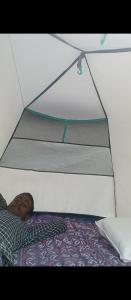 Ảnh trong thư viện ảnh của Caravan camping ở Nainital