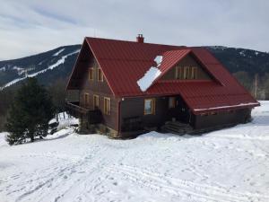 a house with a red roof in the snow at Penzion Soukupovi in Strážné
