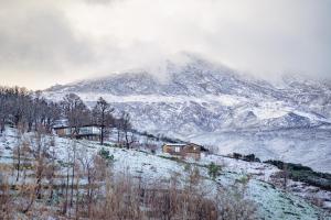 FolgosinhoEstrela Serenity - Resort的雪覆盖的山丘上的房子