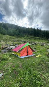 Naturlandskabet i nærheden af campingpladsen