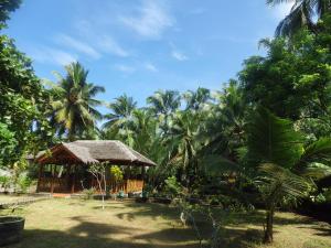 Puutarhaa majoituspaikan Java Lagoon ulkopuolella