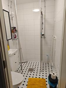 a bathroom with a shower with a black and white floor at Iso kolmio Torniossa in Tornio