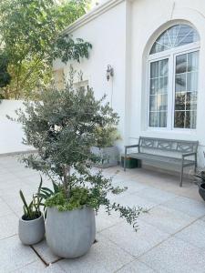 En have udenfor Book a guest room to experience Omani culture + 9 billeder