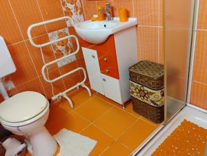 a bathroom with a toilet and a sink at Casa Sulfina in Radoşi +26 photos
