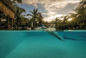 Swimmingpoolen hos eller tæt på De Silva Wind Resort Kalpitiya - Kitesurfing School Sri Lanka