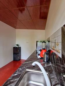 una cucina con un lavello e un piano di lavoro di Turtle Island Cabana a Tangalle