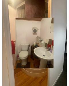 een kleine badkamer met toilet en wastafel bij Maison Le puits du bonheur in La Villedieu