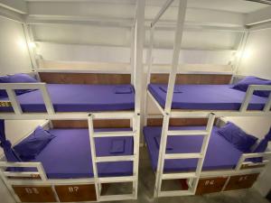 Tres literas en una habitación con camas moradas. en New Land Hostel, en Kaôh Rŭng (3) 8 fotos más
