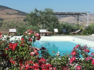 a swimming pool with red flowers in the foreground at Agriturismo Masseria Acque Di Palermo in Roccapalumba