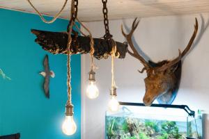 Φωτογραφία από το άλμπουμ του Hyggefarm between North Sea and Baltic Sea σε Sindal