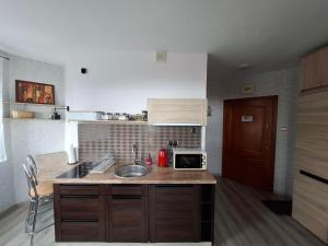 een keuken met een spoelbak en een magnetron bij Wilczy Zakątek in Karpacz +7 foto's