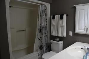 e bagno con tenda per la doccia, servizi igienici e lavandino. di High Springs FL Hideaway a High Springs