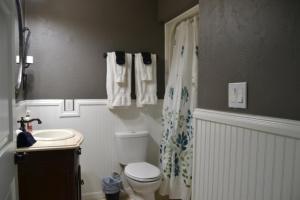 un bagno con un water bianco e un lavandino di High Springs FL Hideaway a High Springs