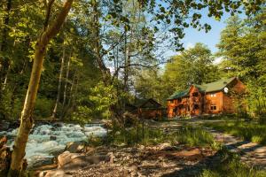 IlʼnytsyaCottage Teremok的河边树林中的小木屋 更多26张照片