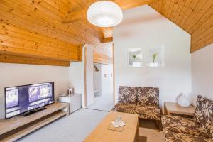 TV a/nebo společenská místnost v ubytování Hotel Rusava