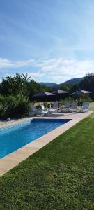 a swimming pool with chairs and umbrellas next to a lawn at Cabana Engadin in Borlova