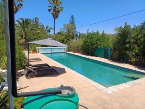 Swimmingpoolen hos eller tæt på Pool House at the Old Victorian