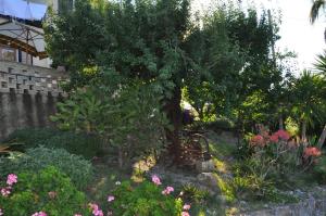 Vonkajšia záhrada v ubytovaní Il Terrazzo Sul Sinni