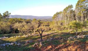 een veld met bomen en rotsen op een heuvel bij Villa dans un domaine viticole in Lorgues