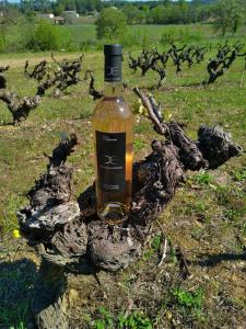 een fles wijn die bovenop een veld staat bij Villa dans un domaine viticole in Lorgues