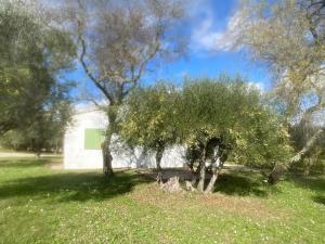een groep bomen voor een wit gebouw bij Villa dans un domaine viticole in Lorgues
