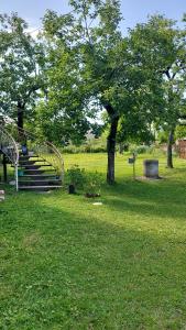 een park met een bankje en een trap in het gras bij MBLi in Martvili