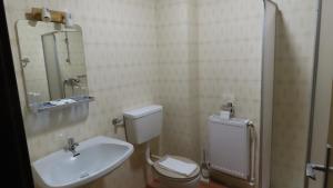 a bathroom with a sink and a toilet and a mirror at Hotel Haus Kärnten in Bad Bleiberg +14 photos
