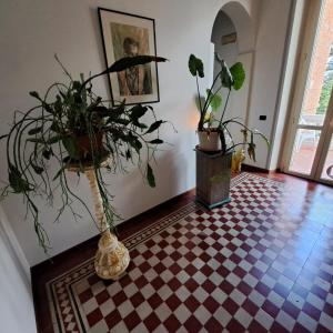 ein Raum mit Topfpflanzen auf einem karierten Boden in der Unterkunft B & B Villa Eden 