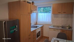a small kitchen with a sink and a refrigerator at Ferienwohnung Katharina in Ettenheim