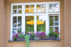 ein Fenster mit Blumen und einem gelben Regenschirm in der Unterkunft Hotel Prinzregent in Nürnberg