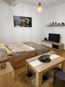 波德戈里察Kropa apartman的一间带床、桌子和电视的卧室