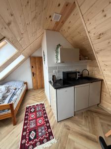 Kuchyň nebo kuchyňský kout v ubytování Tatrzański Widok na góry, Jacuzzi, Sauna, parking