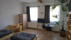 1 dormitorio con escritorio, 1 cama y escritorio en Penzion Na Slunci, en Jihlava