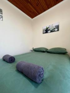 een slaapkamer met een groot bed met twee kussens bij T4 L'essentiel Gare d'Oullins - 3 chambres - 4 lits - 15 min de Lyon in Oullins