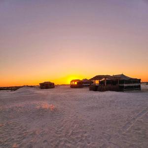 a group of tents on a beach at sunset at Beach Moments Camp in Al Qārin +6 photos