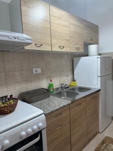 波德戈里察Kropa apartman的厨房配有水槽和白色冰箱