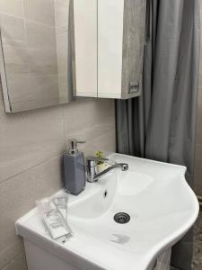 Ένα μπάνιο στο Apartman Pajić