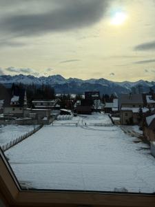 Příroda nedaleko apartmánu