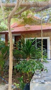 a house with a tree and plants in front of it at Turtle beach Bar 1 Bedroom in Thai Muang