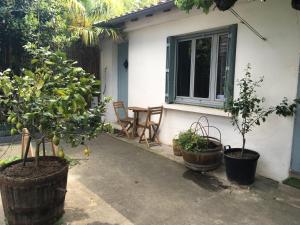 een huis met twee potplanten voor een raam bij Jolie chartreuse in Toulouse