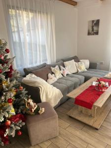 Ảnh trong thư viện ảnh của Vila Monica ở Bran +91 ảnh