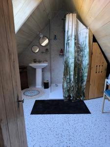 een badkamer met een douchegordijn en een wastafel bij Les petites marches in Saint-Benoît-du-Sault